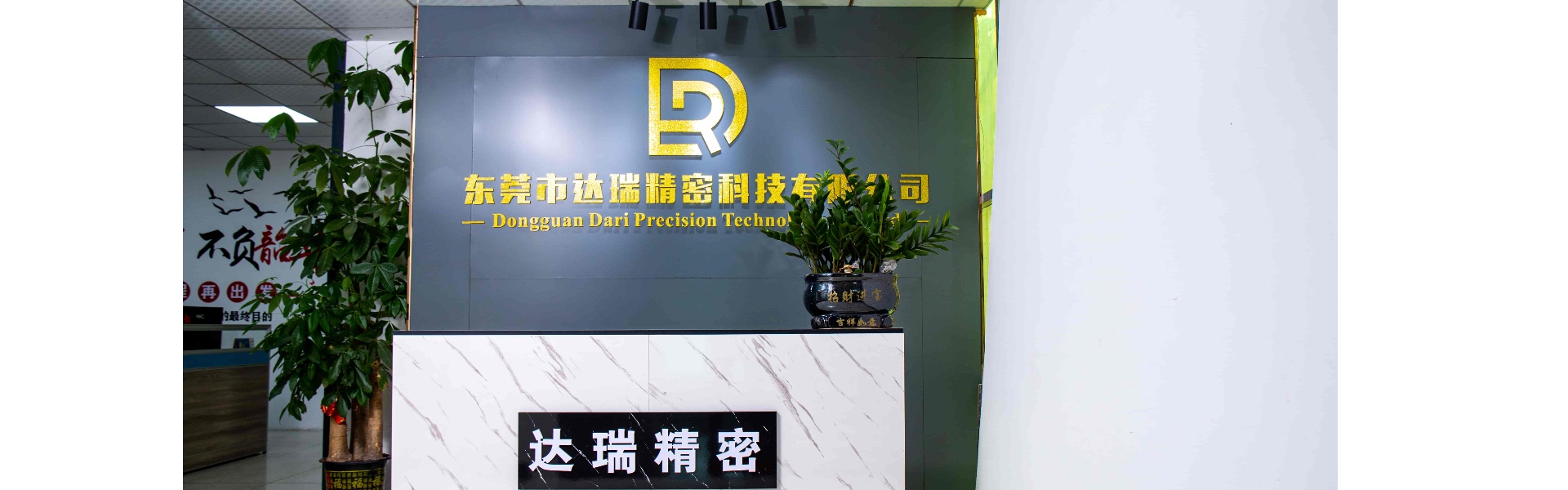 แม่พิมพ์พลาสติก, การฉีดขึ้นรูป, เปลือกพลาสติก,Dongguan Darui Precision Technology Co., Ltd.